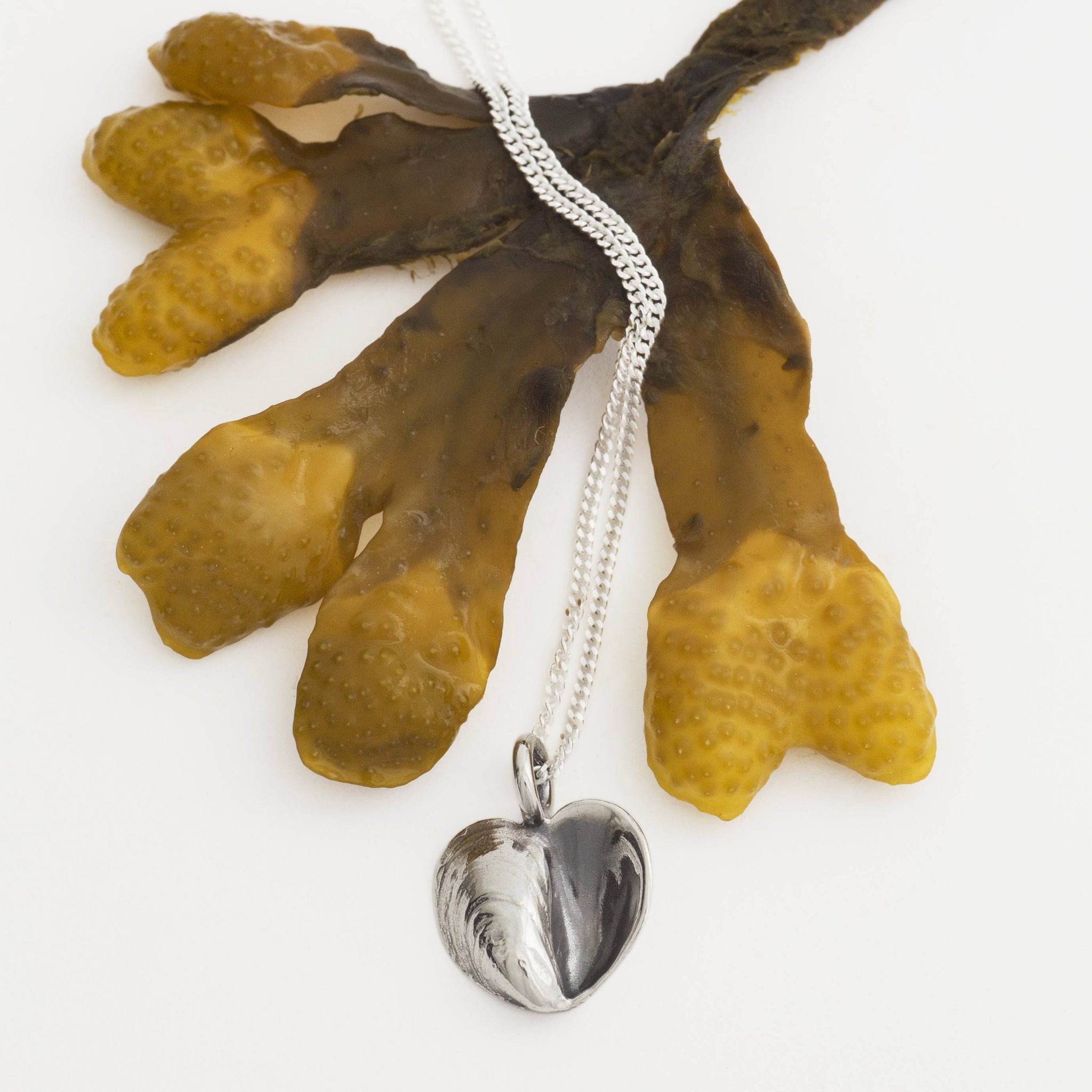 BLÅMUSSLA HJÄRTA halsband